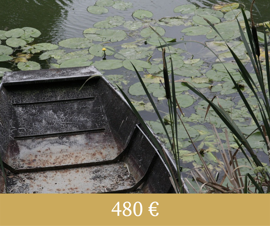Découverte du Marais Poitevin